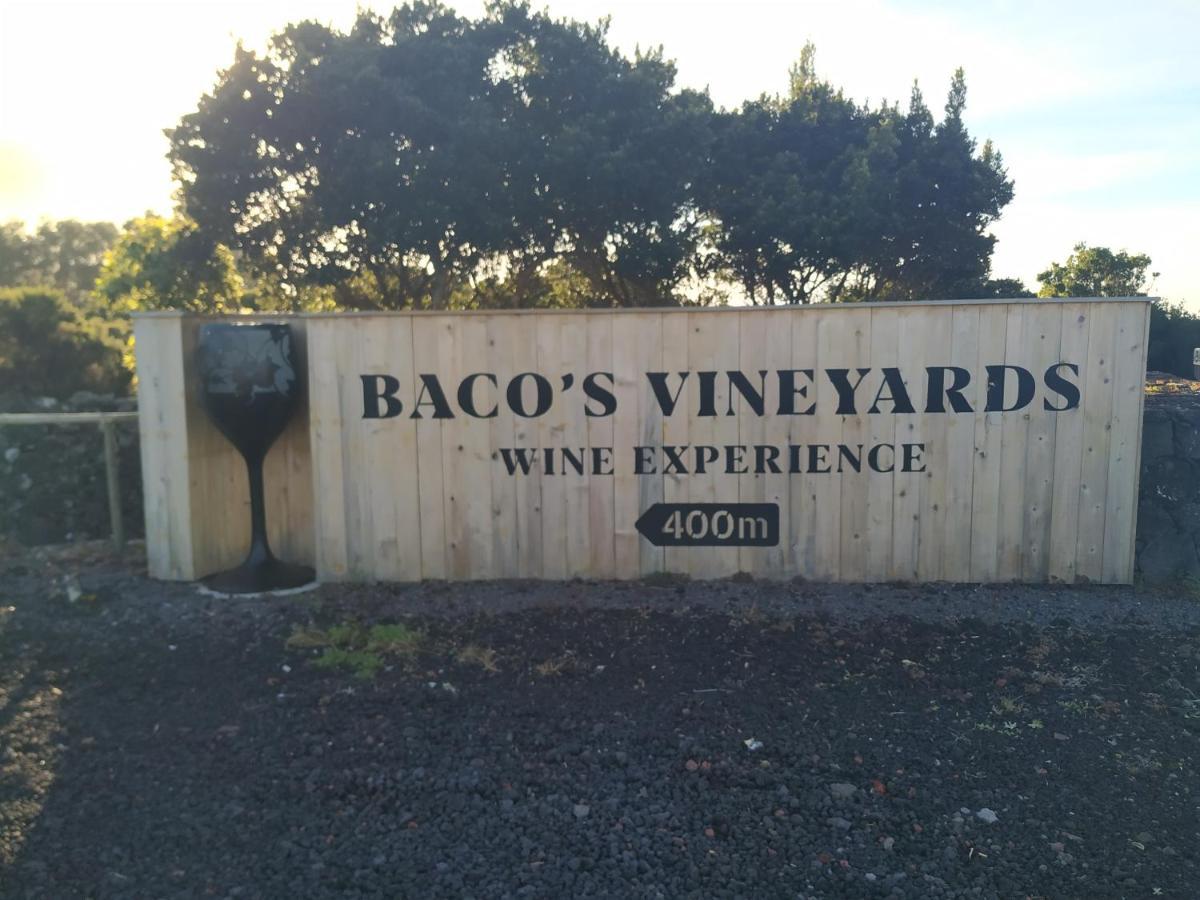 Willa Baco'S Vineyard Lajido Zewnętrze zdjęcie